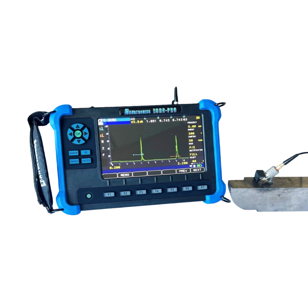 Danatronics Echo Pro